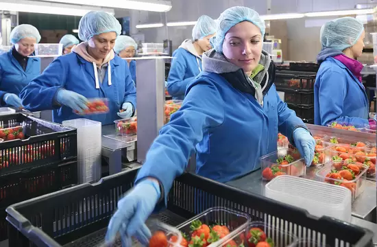 Alege imprimanta industrială potrivită pentru eficiență și productivitate