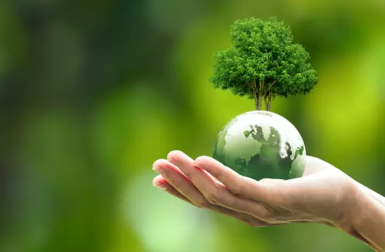 Imprimare ecologică: Cum să reduci risipa de resurse