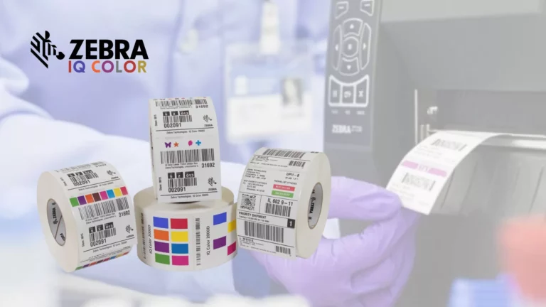 Zebra IQ Color