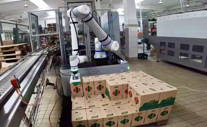 Palletizare: O soluție eficientă și economică pentru afacerea ta