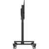 MD-CAR2011-B1-3.jpg