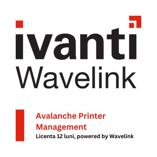 Avalanche Printer Management Licenta 12 Luni 330-SUB-PRINT