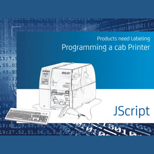 Manual de programare in engleza 9008486