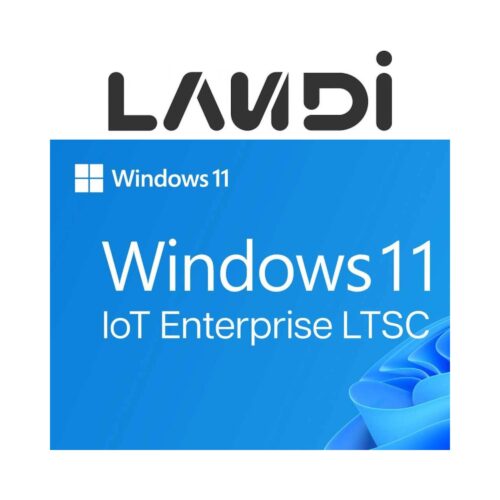 Licență Windows 11 IoT LTSC Landi YB01001731