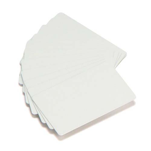 Carduri PVC Zebra 104523-010