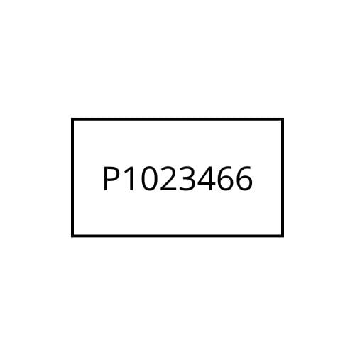 Zebra P1023466