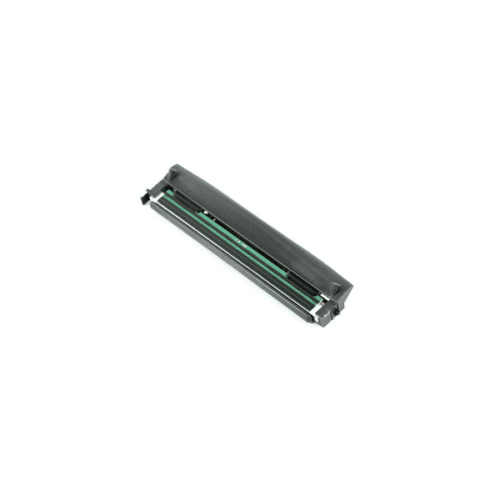 Cap imprimare Termica directa Zebra P1115687