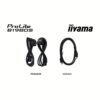 Monitor 19″, LED TN, 1280×1024, HDMI/DP, 150mm HAS, Pivot, Boxe integrate – iiyama B1980S-B1